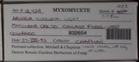 Image Associated With the Occurence